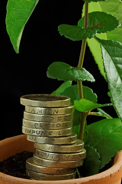 Nieuwe economische groei — Stockfoto