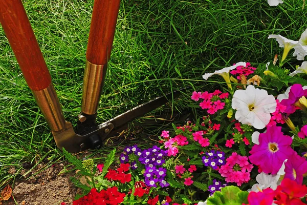 Lawn Edge Being Cut — Stock Photo, Image