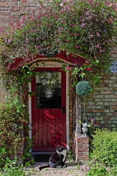 Květina Zakrytá Verandou Anglické Chalupy Kočkou Sedící Dveřmi Stock Fotografie