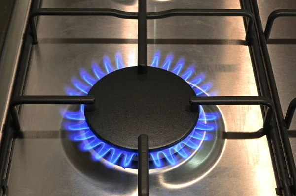A single ring of a lit gas hob burning with blue flames