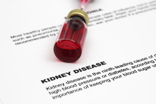 Kidney disease form — Stock Photo, Image