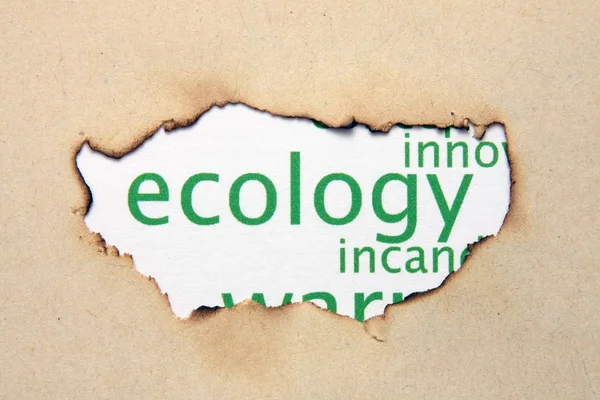 Ecology — Stock Photo, Image