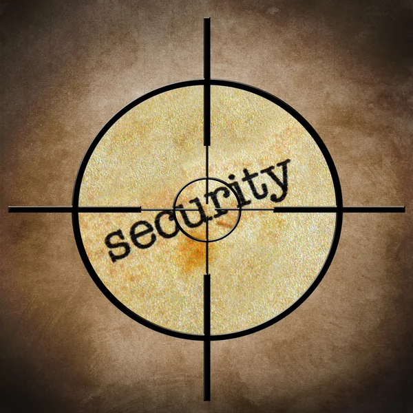 Security target concept — Stock Photo, Image