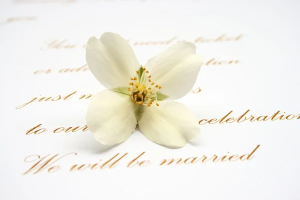 Love letter — Stock Photo, Image