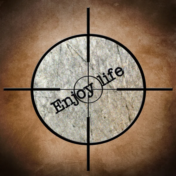 Enjoy life target — Stock Photo, Image