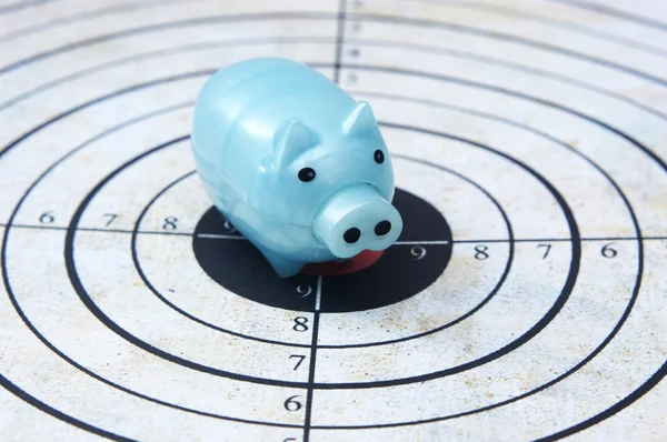 Piggy bank on target concept