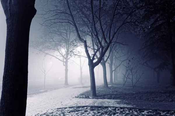 Foggy nuit — Photo