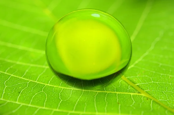 Gotita sobre hoja verde — Foto de Stock