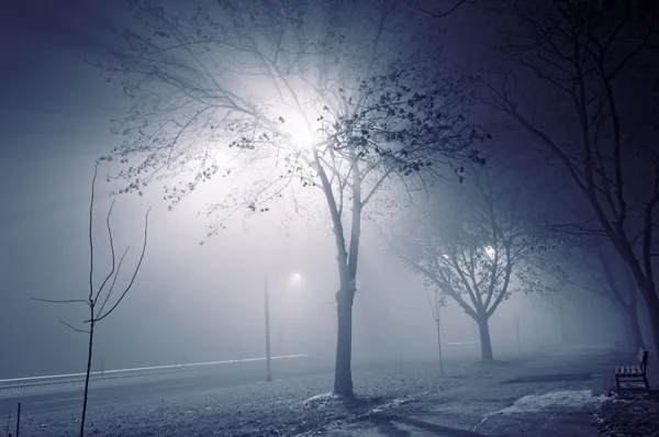Noche de niebla —  Fotos de Stock
