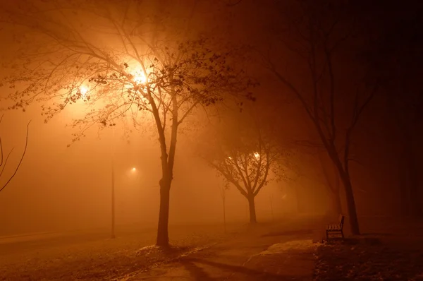 Noche de niebla —  Fotos de Stock
