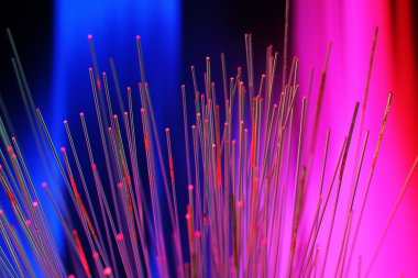 Fiber optik