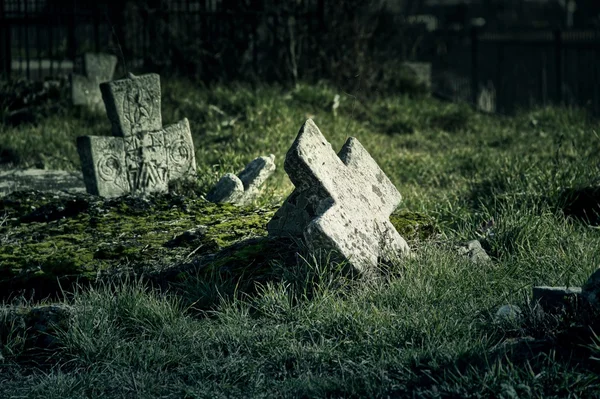 묘지 — 스톡 사진