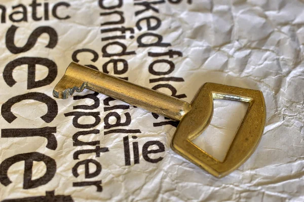 Golden key on lie — Stock Photo, Image