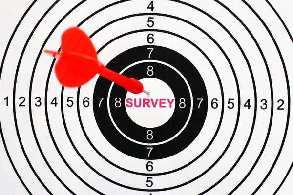 Survey target — Stock Photo, Image