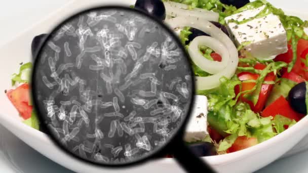 Söker bakterier i grönsaker — Stockvideo