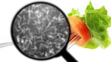 Sebzelerde bakteri aranıyor