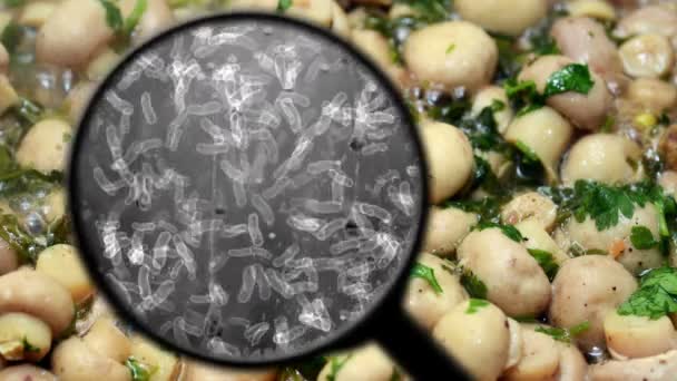 Searching for bacteria in mushrooms — Stock Video