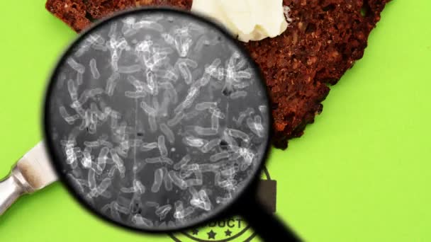 パンに含まれる細菌を探す — ストック動画