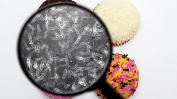 Búsqueda de bacterias en los dulces — Vídeo de stock