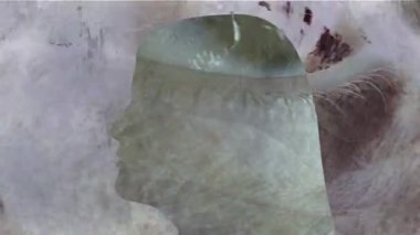 Kadın siluetinin gerçeküstü portresi