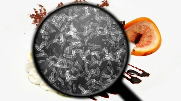 Tatlılarda Bakteri Aranıyor — Stok fotoğraf