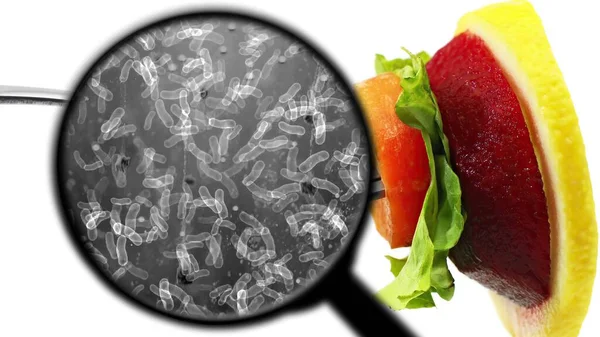 Пошук Бактерій Овочах — стокове фото