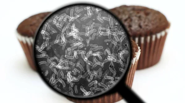 Tatlılarda Bakteri Aranıyor — Stok fotoğraf