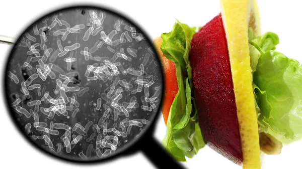 野菜中の細菌を探す — ストック写真