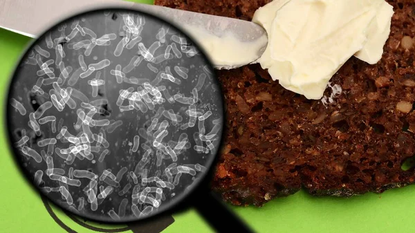 Mencari Untuk Bakteri Dalam Roti — Stok Foto