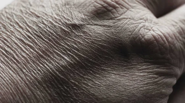 Menutup Tangan Senior Dengan Penyakit Alzheimer — Stok Foto