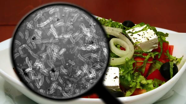 Searching Bacteria Vegetables — Stock Photo, Image