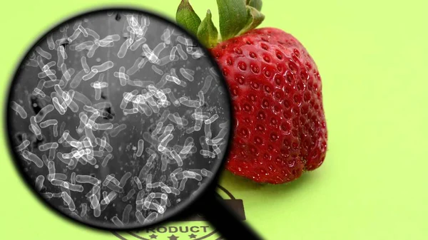 Searching for bacteria in organic fruit