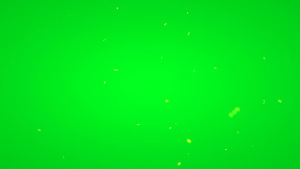 Плавающие Частицы Зеленом Экране — стоковое видео