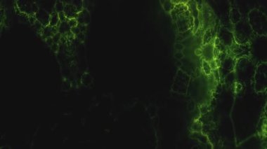 Uzay Evreni Yıldızlar ve Galaksiler Hareket Ediyor