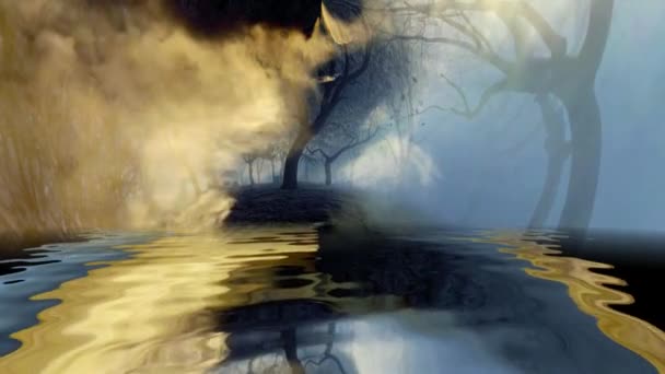 Mlha Nad Stromy Odrážejícími Vodě — Stock video
