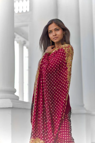 Indian Elegance — Stock Photo, Image