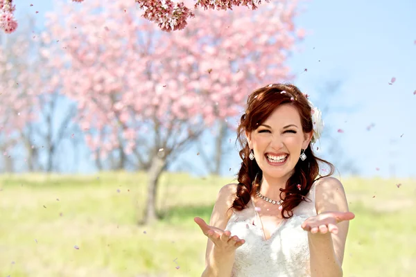 Braut von Kirschblütenblättern überschüttet — Stockfoto