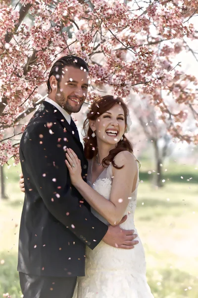 Couple Showered with Cherry Blossoms — Stock Photo, Image