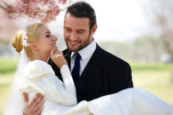 damat gelini holding