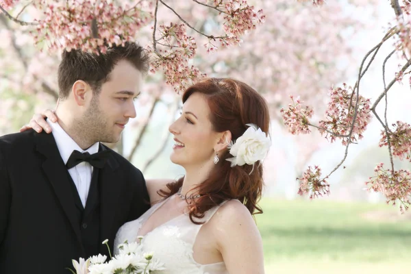 Pareja de boda bajo flores de cerezo —  Fotos de Stock