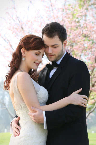 Fiatal menyasszony és a vőlegény ölelés Jogdíjmentes Stock Fotók