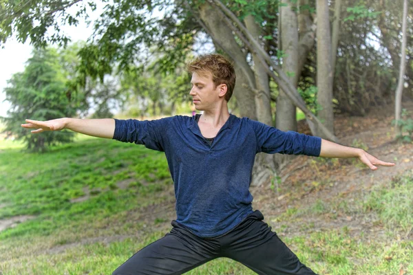 Man Performs Yoga Warrior Pose in Park — Stock Photo, Image