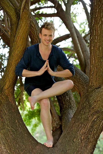 Mann führt modifizierte Baum-Pose im Baum aus — Stockfoto