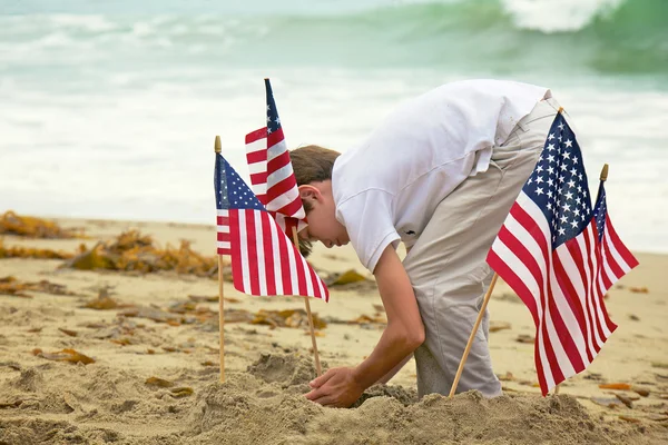 Joven Plantas Banderas Americanas en Arena — Foto de Stock