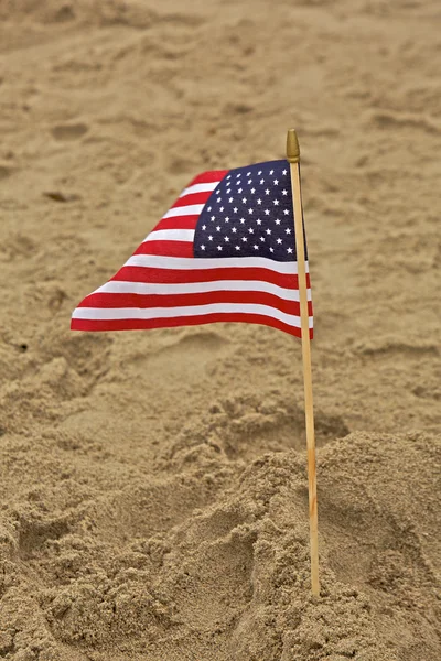 Bandera americana plantada en arena — Foto de Stock