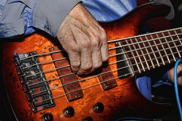 Killer Bass Royalty Free Stock Images