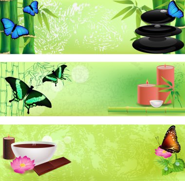 zen ve spa arka set