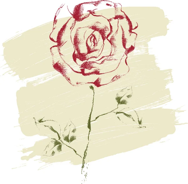 Róża rysunkowa — Wektor stockowy