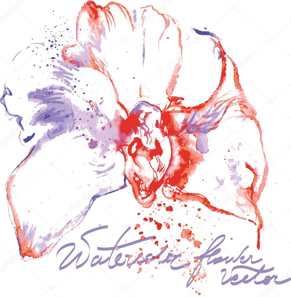 watercolor orchid