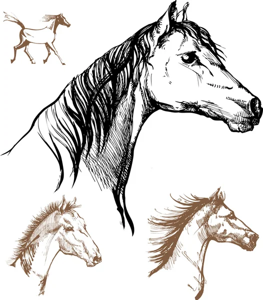 Chevaux — Image vectorielle